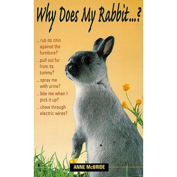 Why Does My Rabbit...?, Anne McBride
