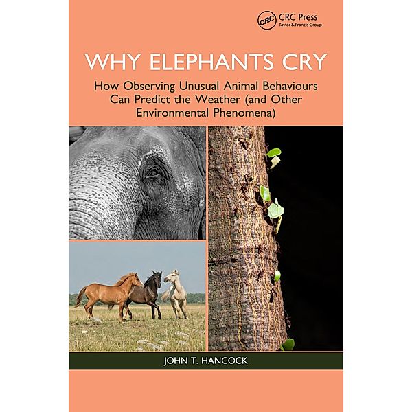 Why Elephants Cry, John T. Hancock