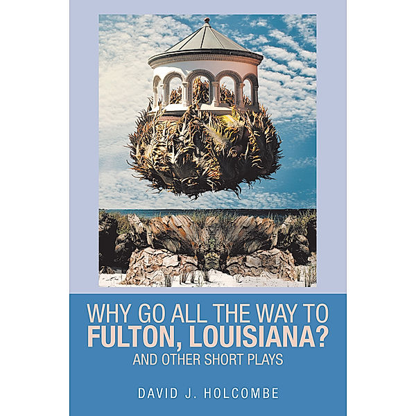 Why Go All the Way to Fulton, Louisiana?, David Holcombe