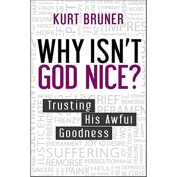 Why Isn't God Nice?, Kurt Bruner