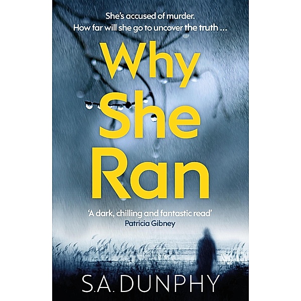 Why She Ran / David Dunnigan Bd.4, S. A. Dunphy