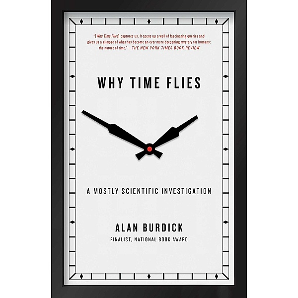 Why Time Flies, Alan Burdick