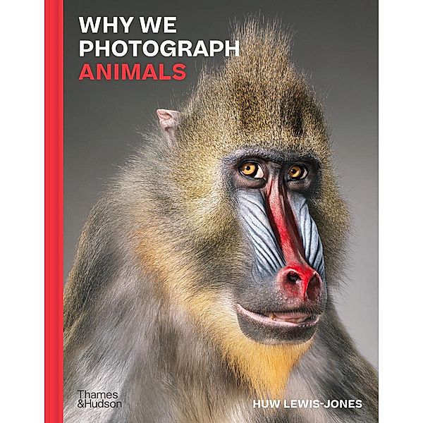 Why We Photograph Animals, Huw Lewis-Jones