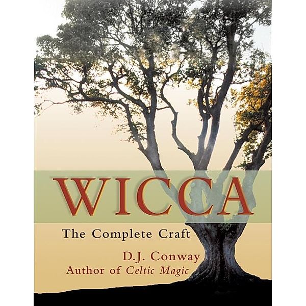 Wicca, D. J. Conway