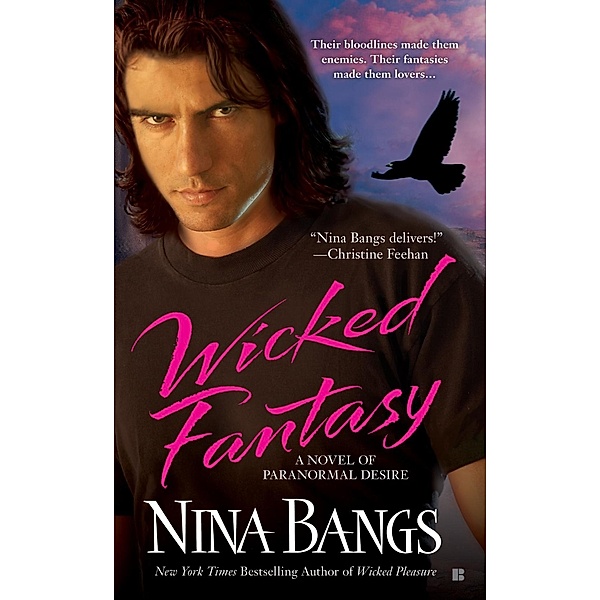 Wicked Fantasy / Castle of Dark Dreams Bd.3, Nina Bangs