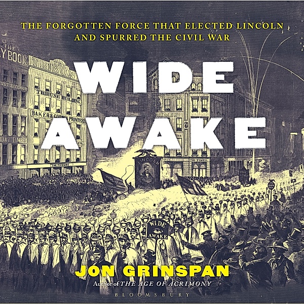 Wide Awake, Jon Grinspan