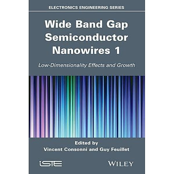 Wide Band Gap Semiconductor Nanowires 1, Guy Feuillet, Vincent Consonni