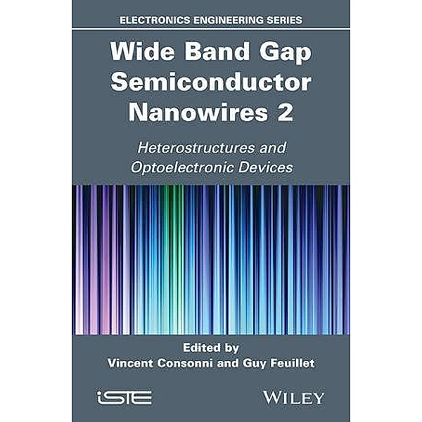 Wide Band Gap Semiconductor Nanowires 2