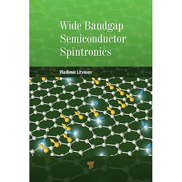 Wide Bandgap Semiconductor Spintronics, Vladimir Litvinov