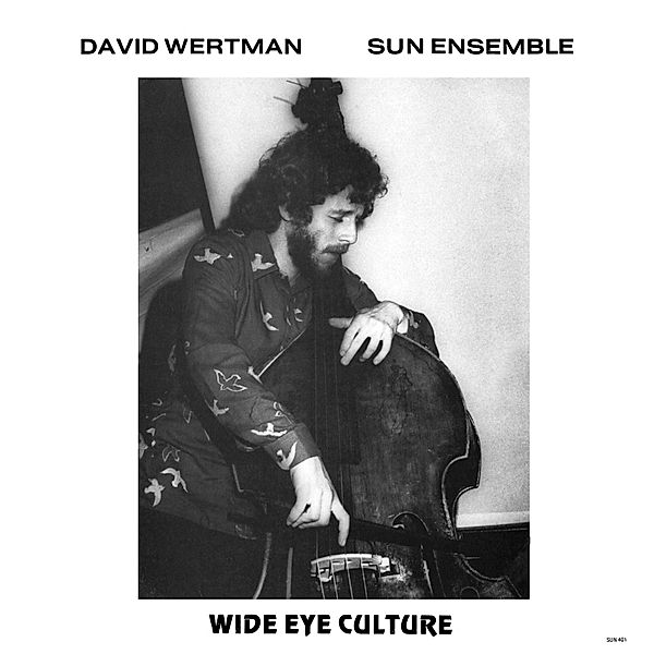 Wide Eye Culture (Vinyl), David Wertman & Sun Ensemble