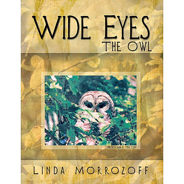Wide Eyes the Owl, Linda Morrozoff