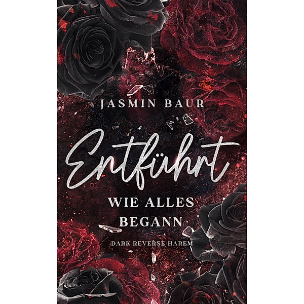 Wie alles begann / Entführt Bd.1, Jasmin Baur