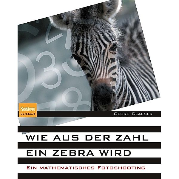 Wie aus der Zahl ein Zebra wird, Georg Glaeser