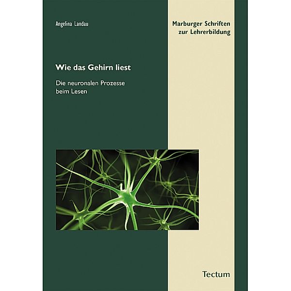 Wie das Gehirn liest / Marburger Schriften zur Lehrerbildung Bd.12, Angelina Landau