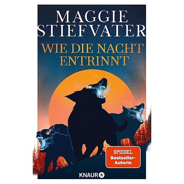 Wie die Nacht entrinnt / Dreamer-Trilogie Bd.3, Maggie Stiefvater
