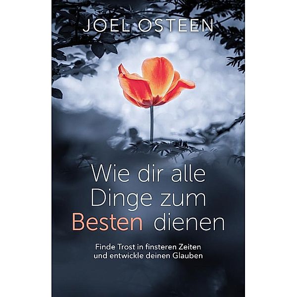 Wie dir alle Dinge zum Besten dienen, Joel Osteen