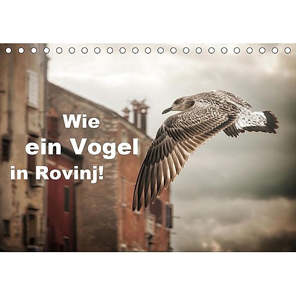 Wie ein Vogel in Rovinj! (Tischkalender 2021 DIN A5 quer), Viktor Gross