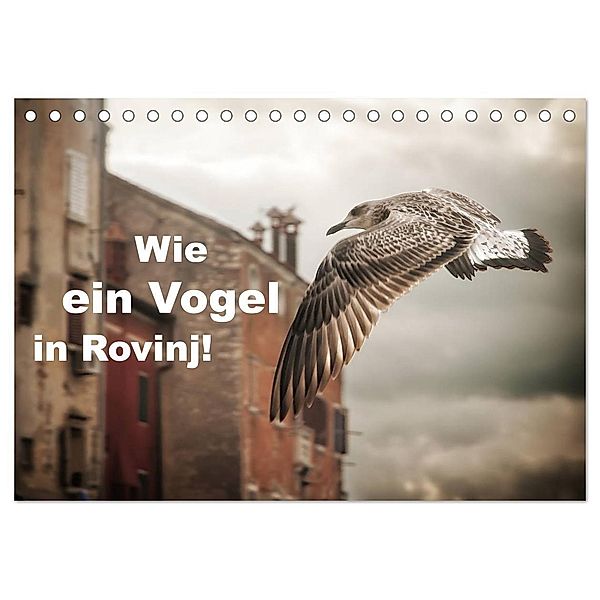 Wie ein Vogel in Rovinj! (Tischkalender 2024 DIN A5 quer), CALVENDO Monatskalender, Viktor Gross