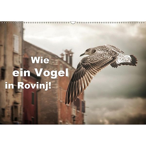 Wie ein Vogel in Rovinj! (Wandkalender 2021 DIN A2 quer), Viktor Gross
