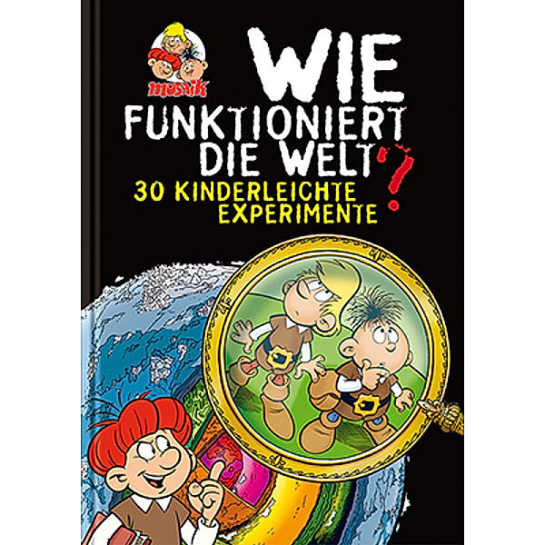 Wie funktioniert die Welt?, Axel Werner