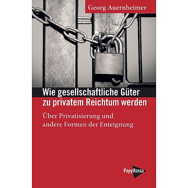 Wie gesellschaftliche Güter zu privatem Reichtum werden, Georg Auernheimer