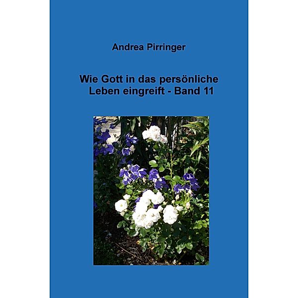 Wie Gott in das persönliche Leben eingreift - Band 11 / Wie Gott in das persönliche Leben eingreift Bd.11, Andrea Pirringer