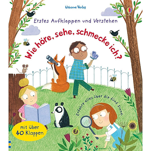 Wie höre, sehe, schmecke ich? / Erstes Aufklappen und Verstehen Bd.3, Katie Daynes