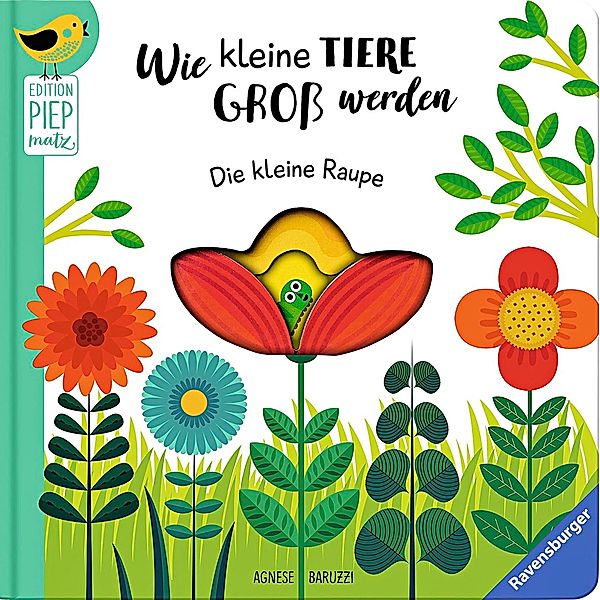 Wie kleine Tiere gross werden - Die kleine  Raupe, Sandra Grimm