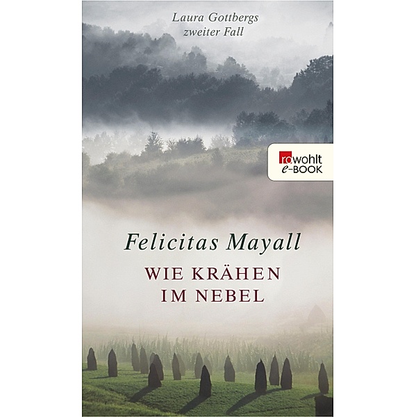 Wie Krähen im Nebel / Laura Gottberg Bd.2, Felicitas Mayall