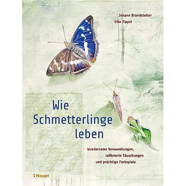 Wie Schmetterlinge leben, Johann Brandstetter, Elke Zippel