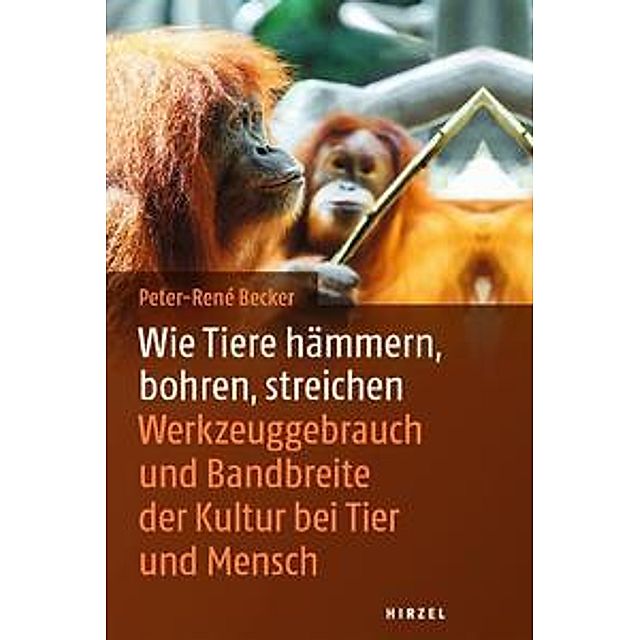 Wie Tiere hämmern, bohren, streichen Buch versandkostenfrei - Weltbild.de
