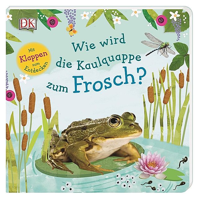 Wie wird die Kaulquappe zum Frosch? Buch jetzt online bei Weltbild.ch  bestellen