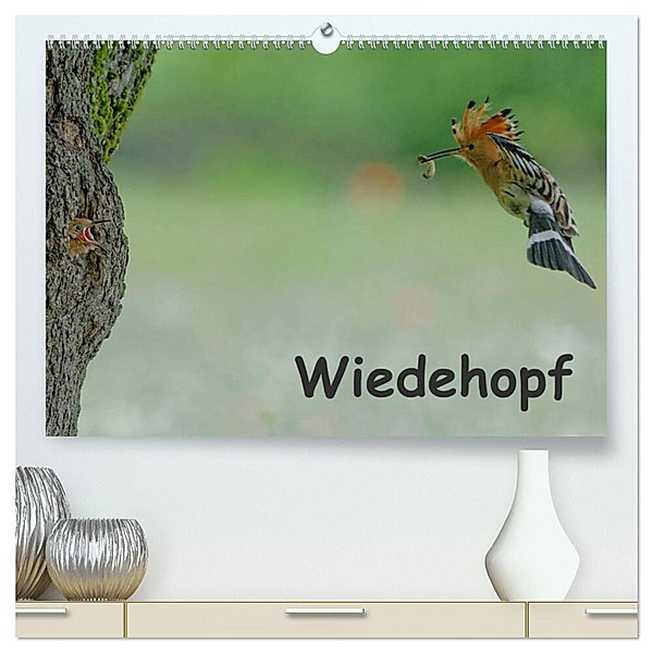 Wiedehopf (hochwertiger Premium Wandkalender 2024 DIN A2 quer), Kunstdruck in Hochglanz, Gerald Wolf