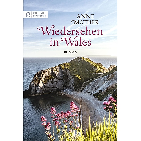 Wiedersehen in Wales, Anne Mather