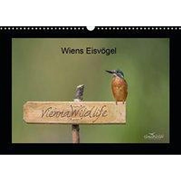 Wiens Eisvögel (Wandkalender 2021 DIN A3 quer), Vienna Wildlife/Karl Leitner