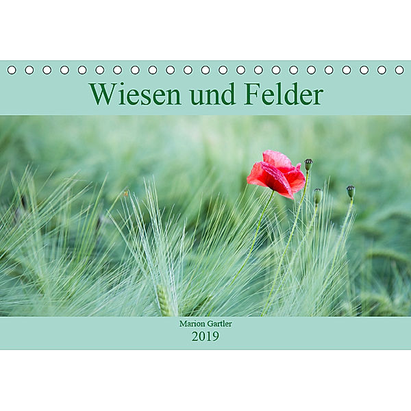 Wiesen und Felder (Tischkalender 2019 DIN A5 quer), Marion Gartler