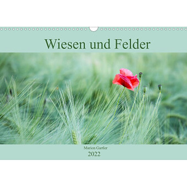 Wiesen und Felder (Wandkalender 2022 DIN A3 quer), Marion Gartler