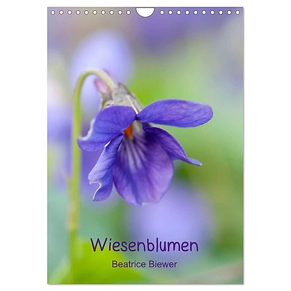 Wiesenblumen (Wandkalender 2024 DIN A4 hoch), CALVENDO Monatskalender, Beatrice Biewer