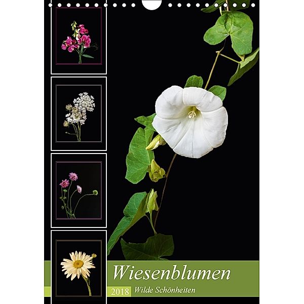 Wiesenblumen - Wilde Schönheiten (Wandkalender 2018 DIN A4 hoch), Angelika Beuck