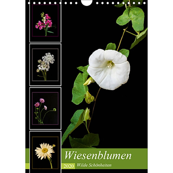 Wiesenblumen - Wilde Schönheiten (Wandkalender 2020 DIN A4 hoch), Angelika Beuck