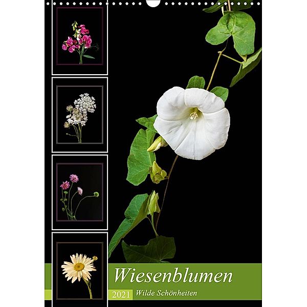 Wiesenblumen - Wilde Schönheiten (Wandkalender 2021 DIN A3 hoch), Angelika Beuck