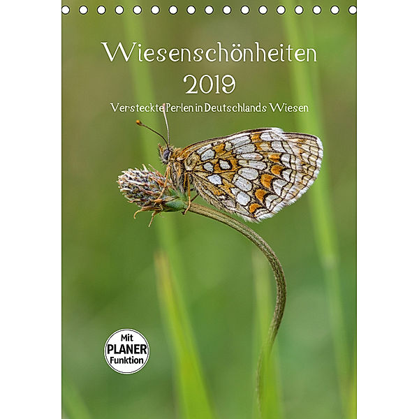 Wiesenschönheiten (Tischkalender 2019 DIN A5 hoch), Christian Birzer