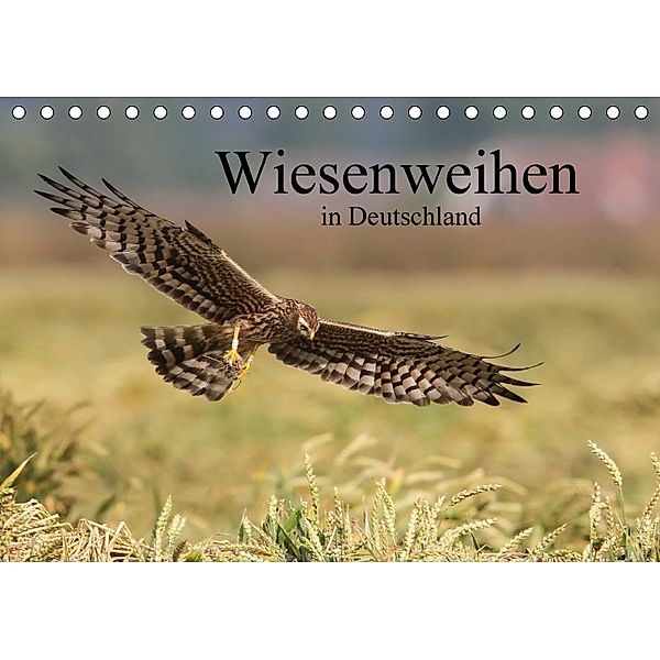 Wiesenweihen in Deutschland (Tischkalender 2018 DIN A5 quer), Martin Wenner