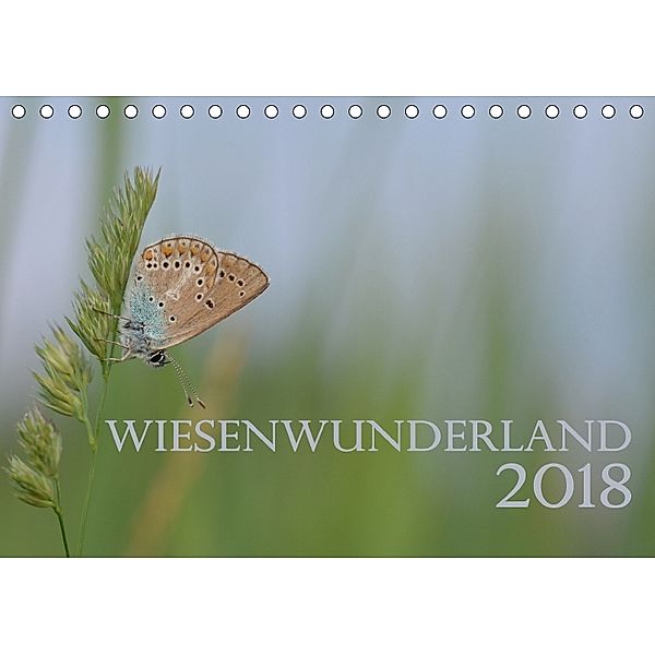 Wiesenwunderland 2018 (Tischkalender 2018 DIN A5 quer), Juliane Wandel