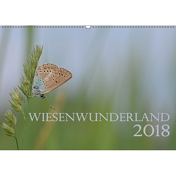 Wiesenwunderland 2018 (Wandkalender 2018 DIN A2 quer), Juliane Wandel