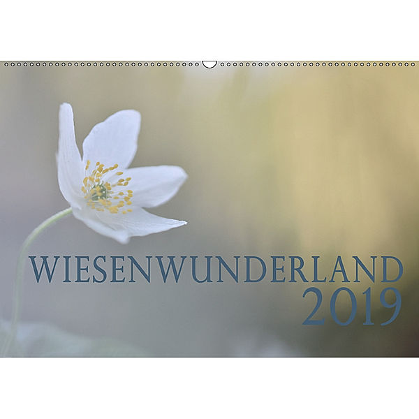 Wiesenwunderland 2019 (Wandkalender 2019 DIN A2 quer), Juliane Wandel