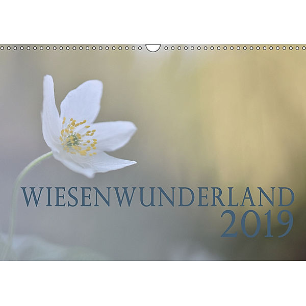 Wiesenwunderland 2019 (Wandkalender 2019 DIN A3 quer), Juliane Wandel