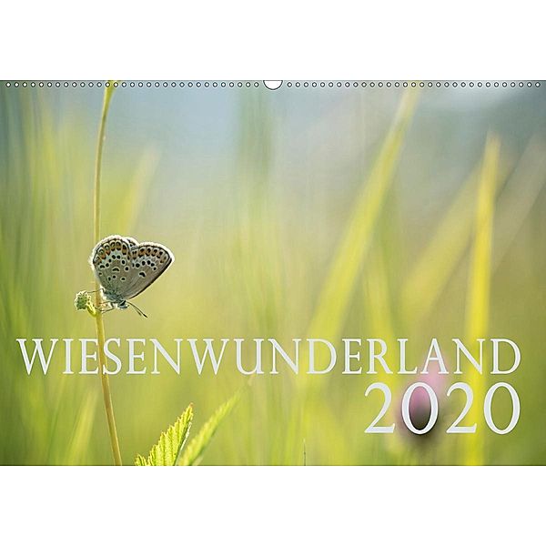 Wiesenwunderland 2020 (Wandkalender 2020 DIN A2 quer), Juliane Wandel