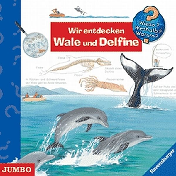 Wieso? Weshalb? Warum? - Wir entdecken Wale und Delfine,Audio-CD, Wieso? Weshalb? Warum?, Sonja Szylowicki