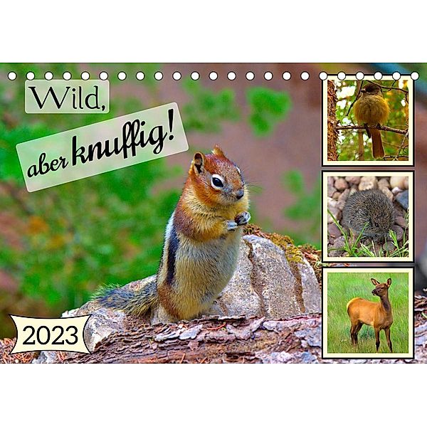 Wild, aber knuffig! (Tischkalender 2023 DIN A5 quer), Lost Plastron Pictures